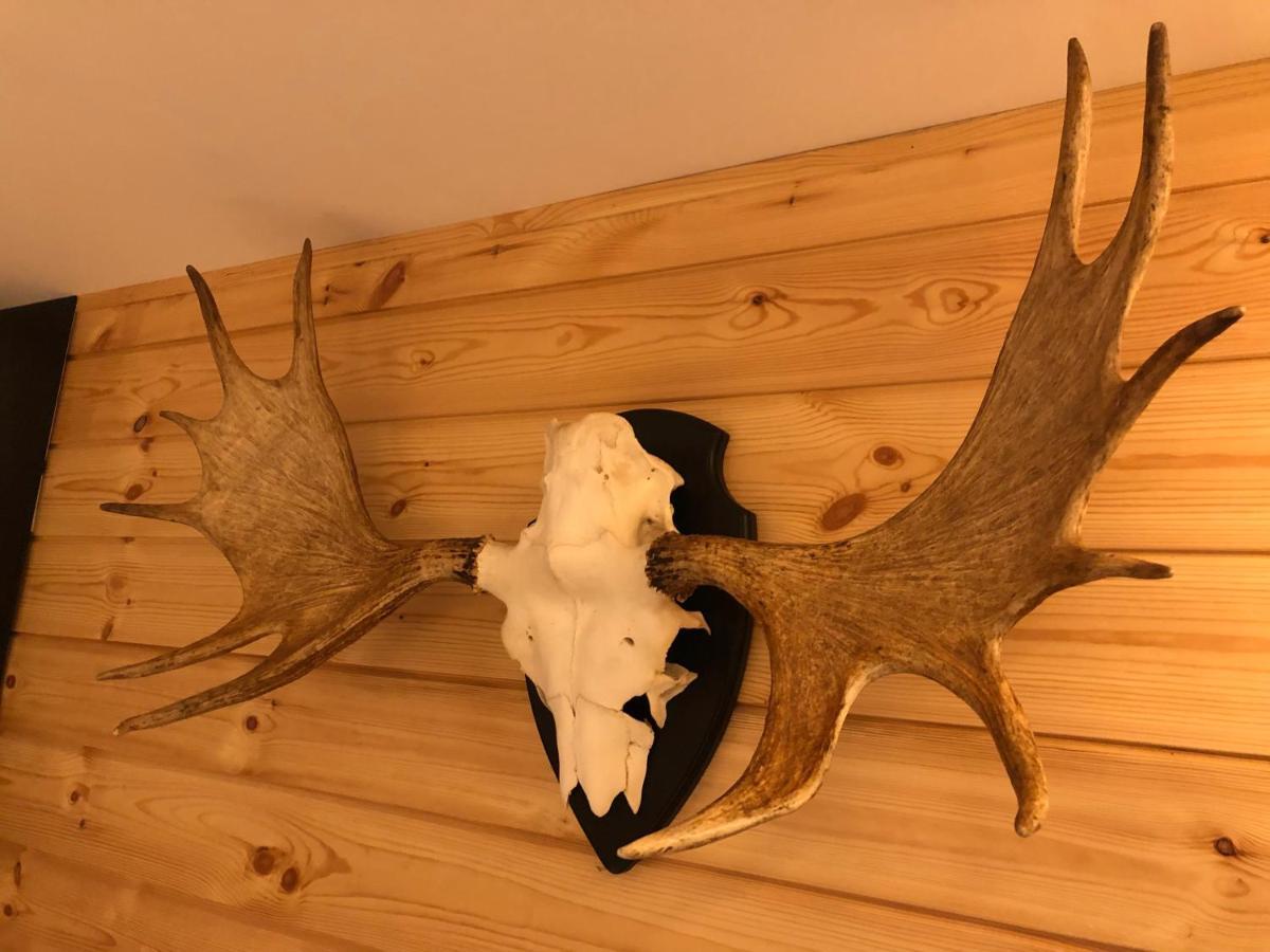 Chalet De Charme, Le "Caribou Lodge", Eifel Belge Bullange Exteriér fotografie