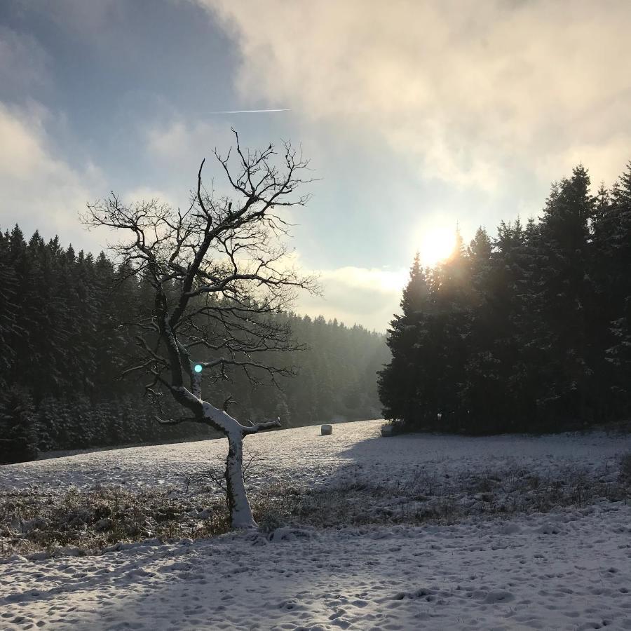 Chalet De Charme, Le "Caribou Lodge", Eifel Belge Bullange Exteriér fotografie